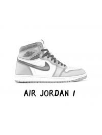 Air Jordan Ⅰ (96)