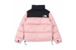 The North Face 1996 Retro FW21 Nuptse Pink