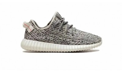 Yeezy Boost 350 'Turtle Dove'(2022)