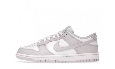 Nike Dunk Low Venice (Women's)