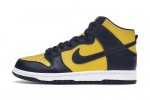 Nike Dunk High Michigan (2020)